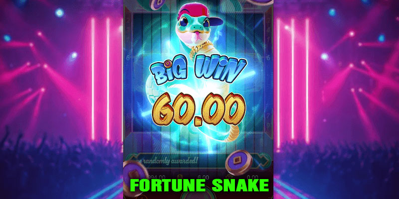 Fortune Snake